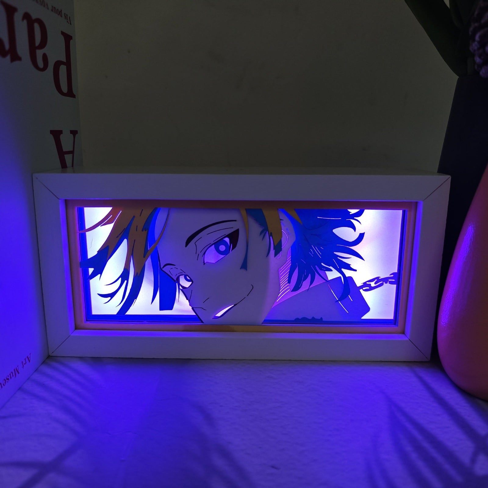 Michael Kaiser light box