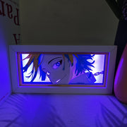 Michael Kaiser light box
